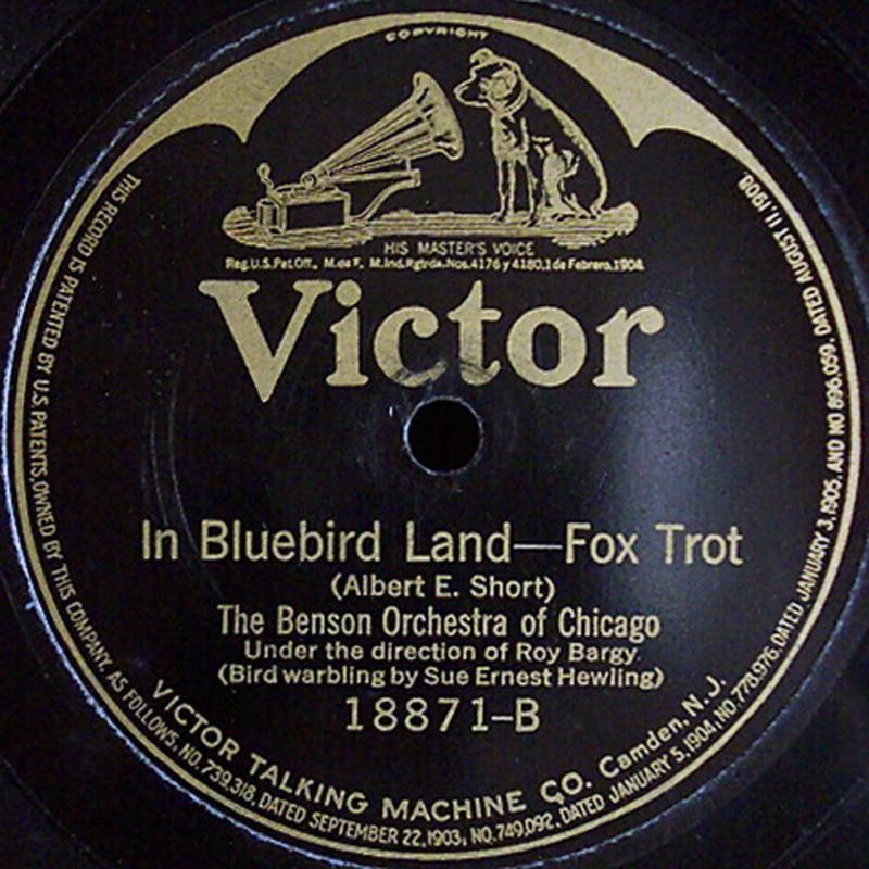 photo 18871-B-InBluebirdLand.jpg