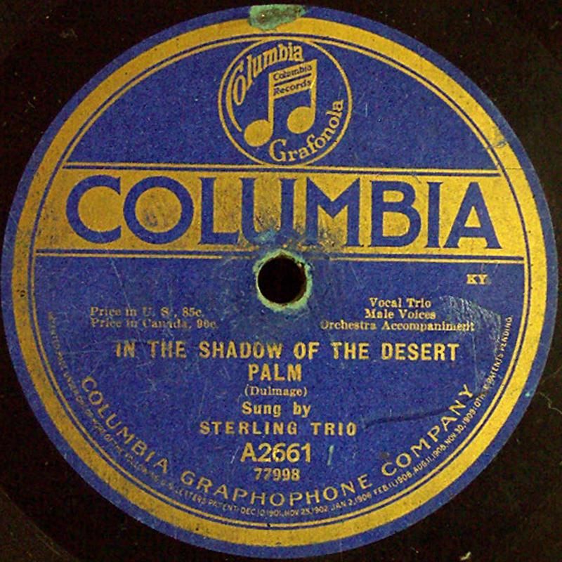 photo A2661-InTheShadow.jpg