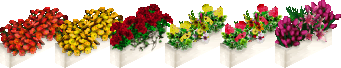 ams_windowboxes_3.gif