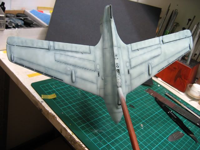 fuselagebottompainted.jpg