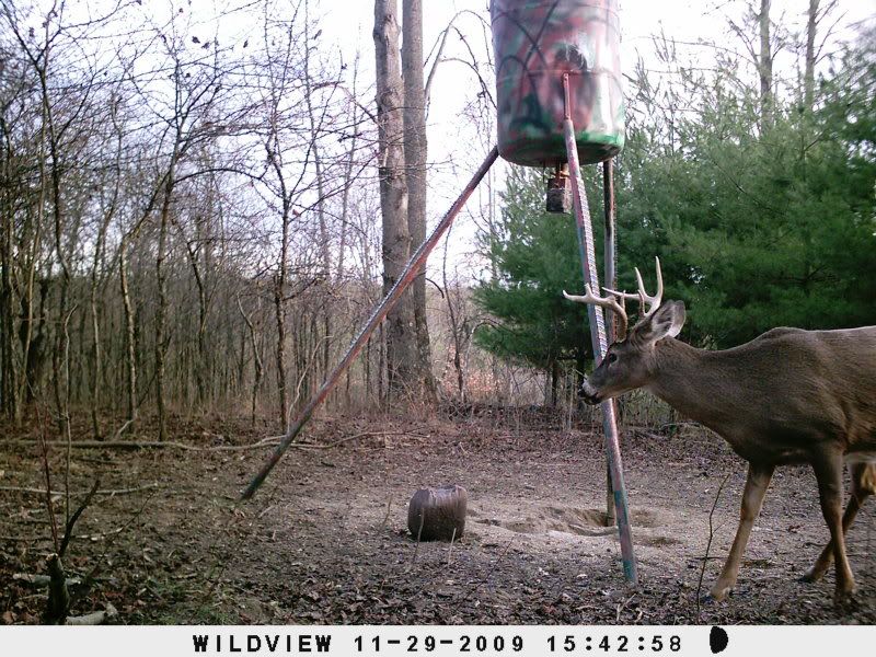 trailcam-177.jpg