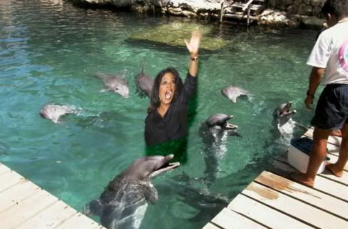 Oprah_dolphin.jpg