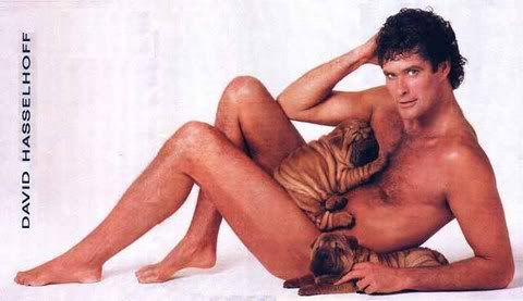 david-hasselhoff-05.jpg