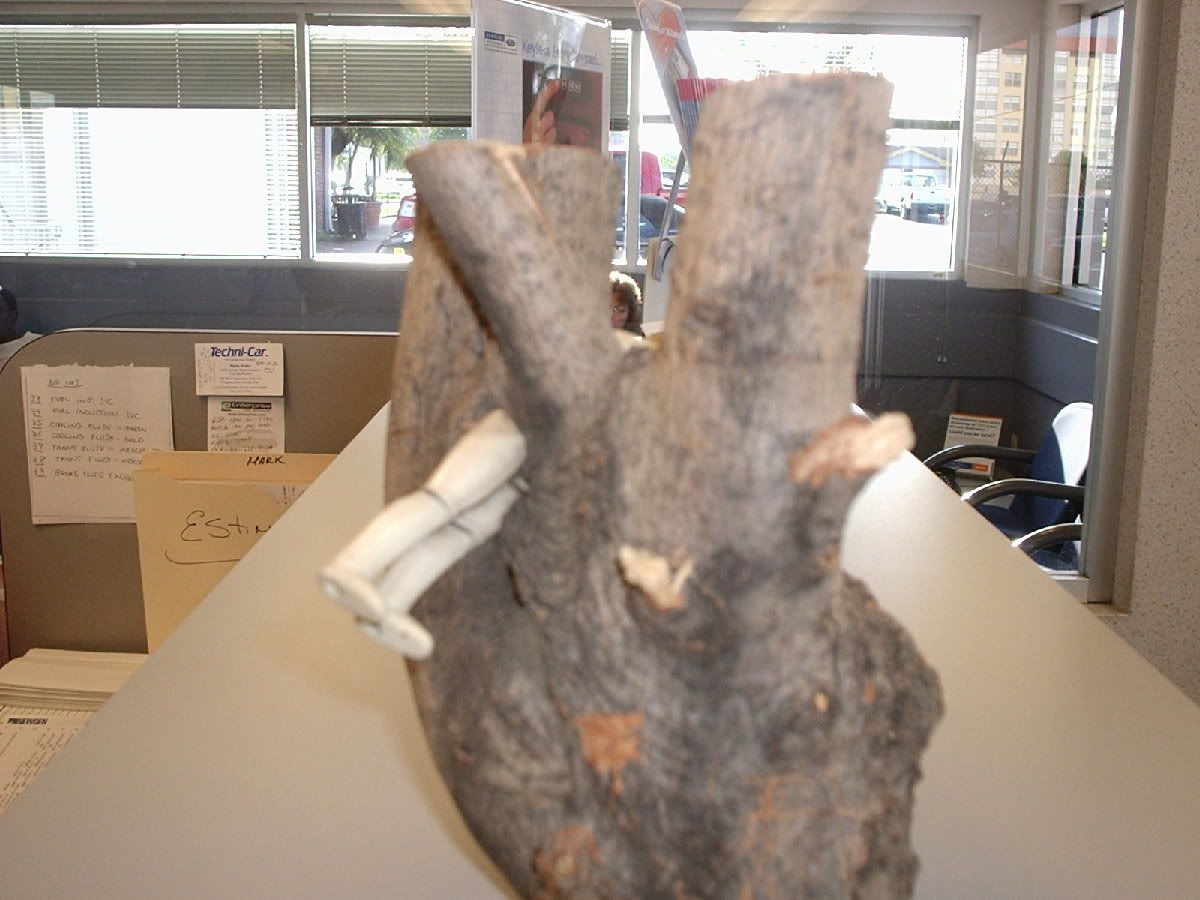 P2040338