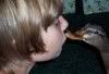 duckkisses4.jpg