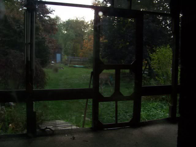 More Fast Food - The Great Outdoors