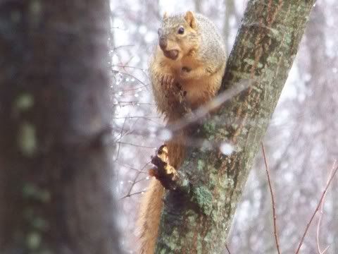Some times you are forced to see things differt. - The Great Outdoors