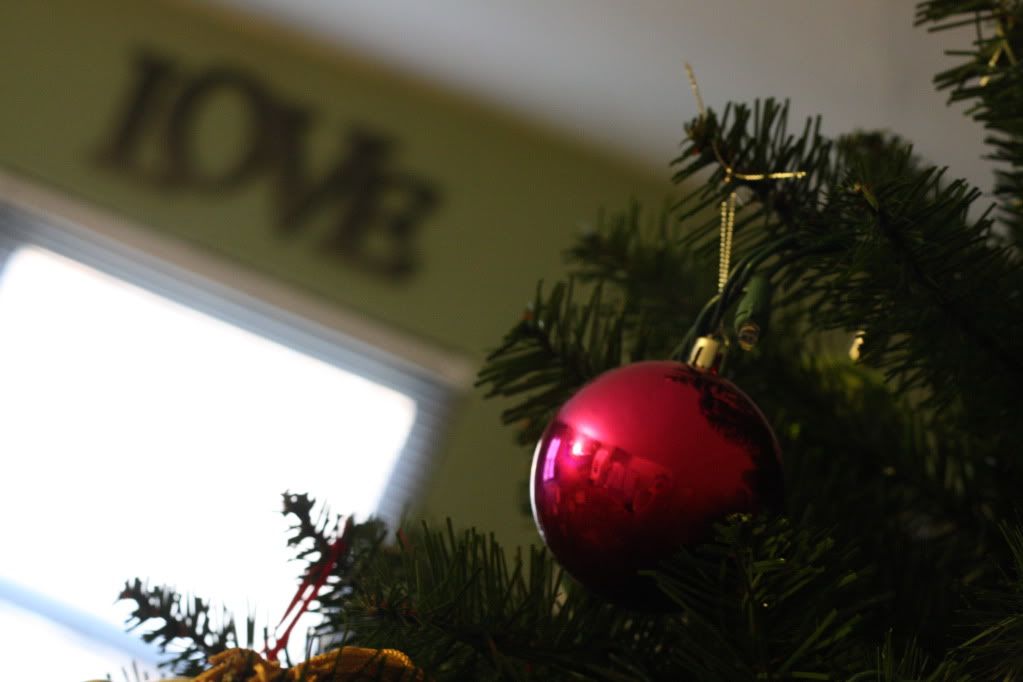 IMAGE: http://img.photobucket.com/albums/v295/thaone12factor/IMG_2613.jpg