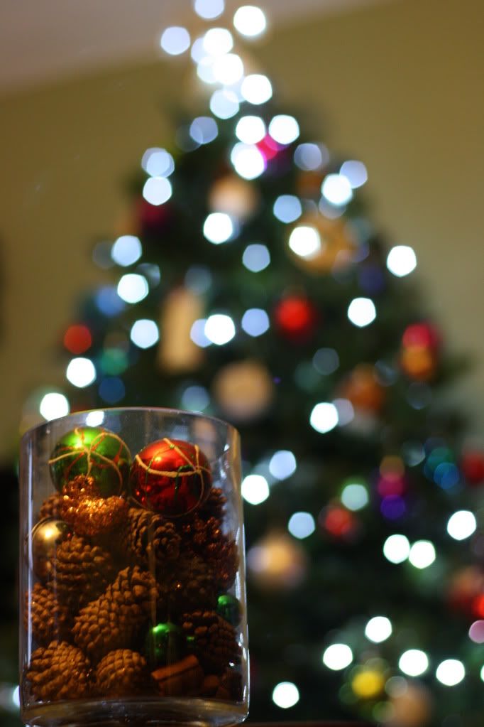 IMAGE: http://img.photobucket.com/albums/v295/thaone12factor/IMG_2647.jpg