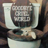 goodbyecruelworld.gif image by Didge