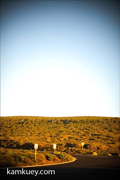 http://img.photobucket.com/albums/v296/kamkuey/Perth/Southern%20Perth%203/50b841b7.jpg?t=1284810910