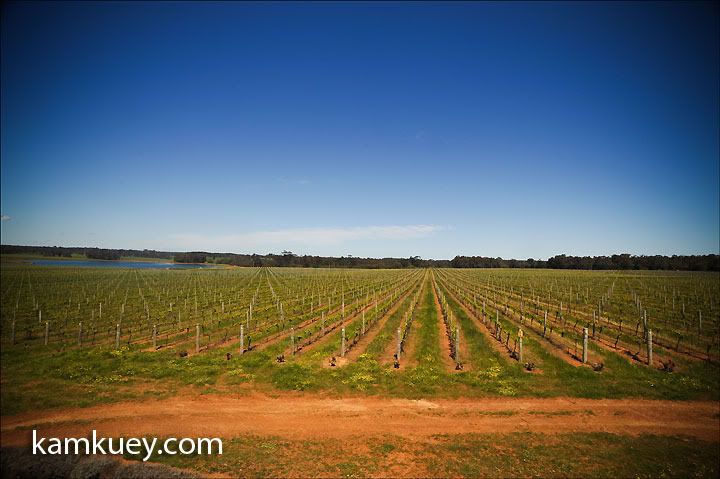http://img.photobucket.com/albums/v296/kamkuey/Perth/Southern%20Perth%203/88e9918f.jpg?t=1284818441