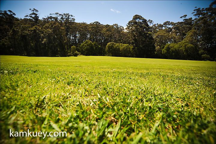 http://img.photobucket.com/albums/v296/kamkuey/Perth/Southern%20Perth%203/f4c47dc5.jpg?t=1284811850