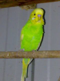 08082007079.jpg