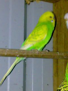 08082007080.jpg