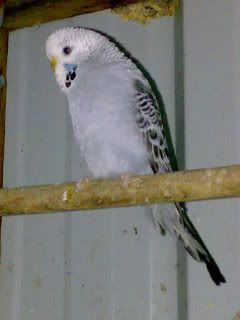 08082007083.jpg