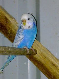 08082007089.jpg