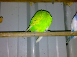 08082007090.jpg