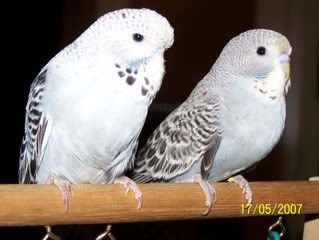 100_5341.jpg