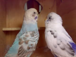 02092007137.jpg