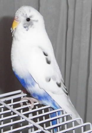 DCP_0193.jpg