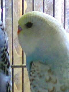 19102007399-001.jpg
