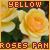 Yellow Roses Fan!