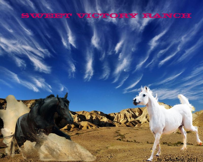 Sweet Victory Ranch