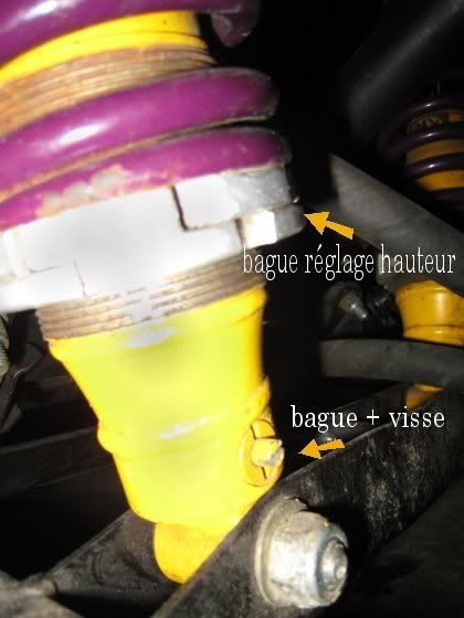 [Image: spaxreglable.jpg]