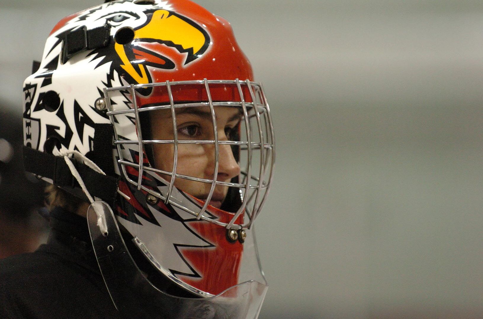 Koho Helmet