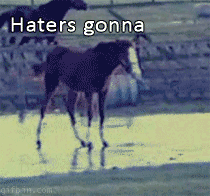 funny-gif-horse-haters-gonna-hate_zpstz5phwio.gif