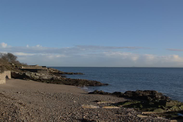 BeachyCove.jpg