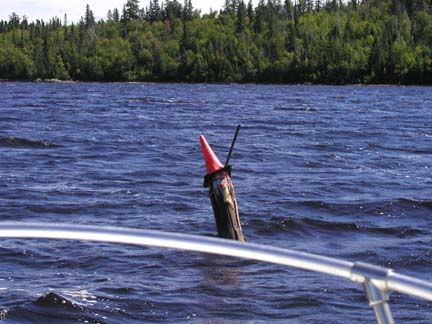 bouy.jpg