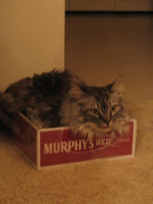 Image hosted by Photobucket.com