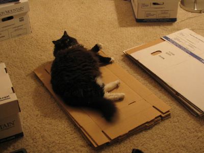 Image hosted by Photobucket.com