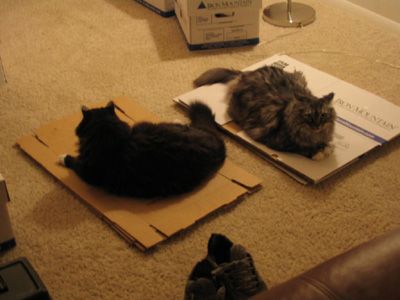 Image hosted by Photobucket.com