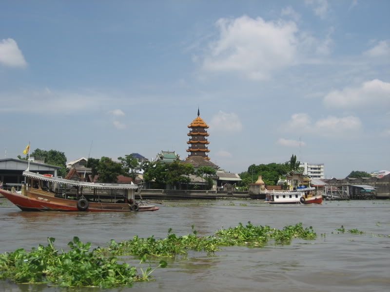 IMG_2695.jpg