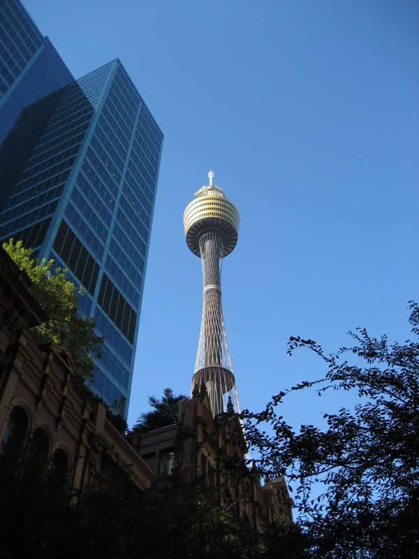 IMG_3544.jpg
