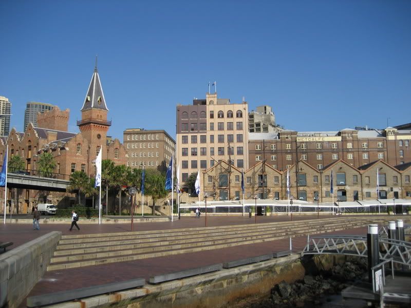 IMG_3550.jpg