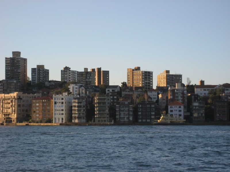 IMG_3773.jpg