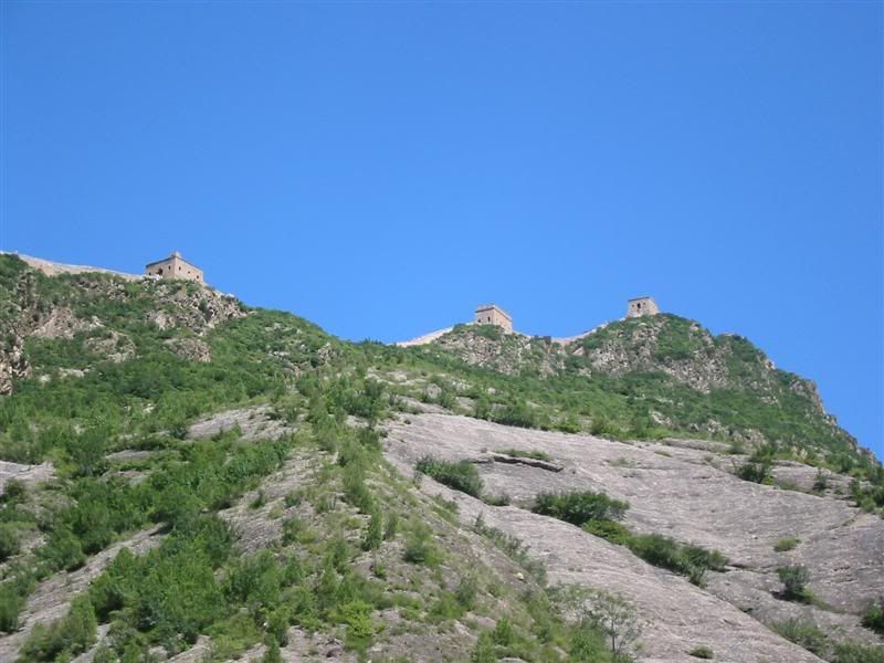 IMG_8363.jpg