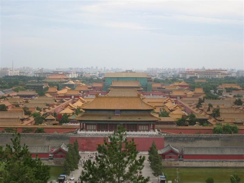 IMG_8462.jpg