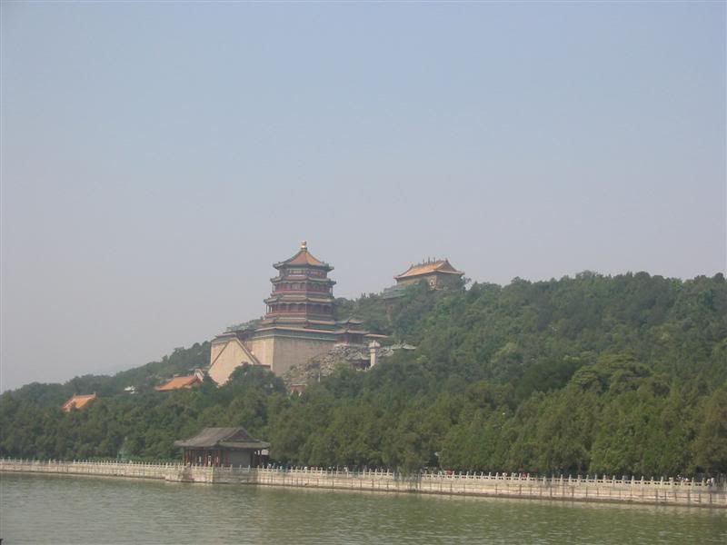 IMG_8509.jpg