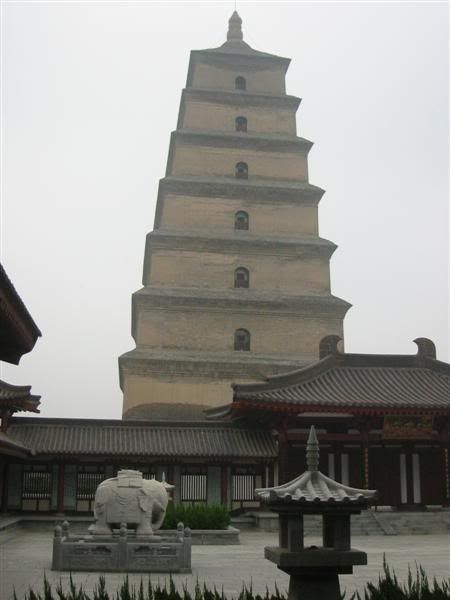 IMG_8588.jpg