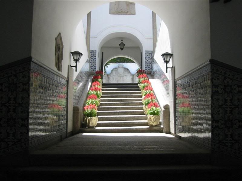IMG_8878.jpg