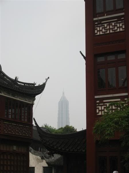 IMG_8999.jpg