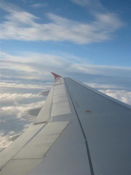 IMG_9048.jpg
