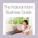natural mom business guide