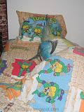 my Ninja Turtles bedsheets & my Fishton