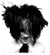 posticon